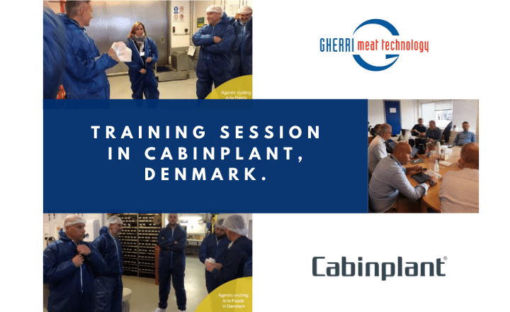Sessione di Training da Cabinplant in Danimarca