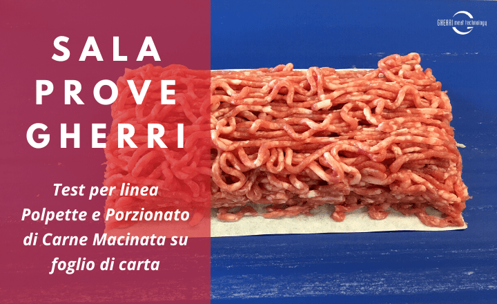 Test Carne macinata per linea polpette e porzionato di carne macinata su foglio di carta