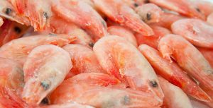 scongelamento rapido pesce