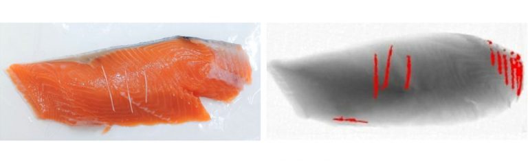 Test id rilevamento di lische con il nuovo modello Dual X Anritsu