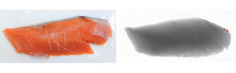 Test di rilevamento lische con raggi x standard