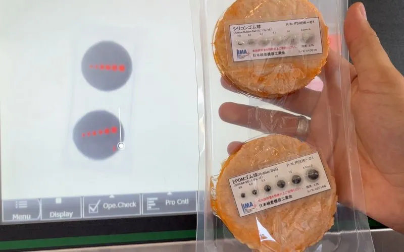 Ispezione raggi-x per pesce