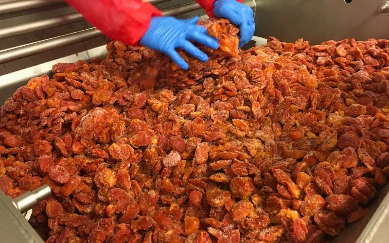 impianti di trasformazione prodotti agricoli