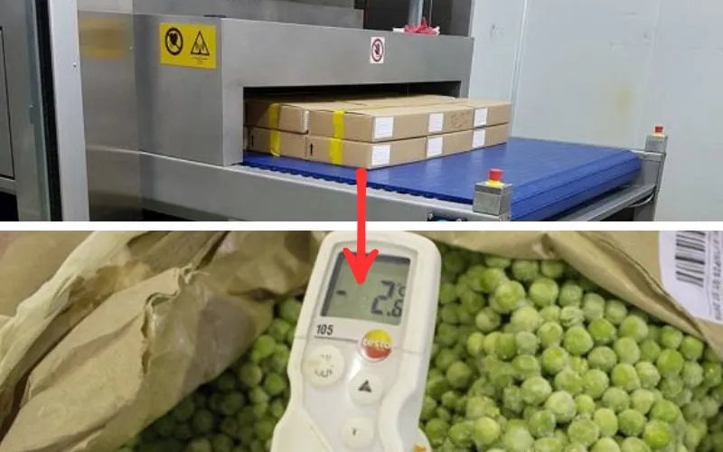 Scongelatore a radiofrequenza per prodotti vegetali