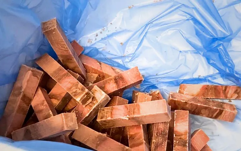 trasformazione prodotti ittici