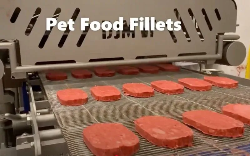 impianti per mangimifici