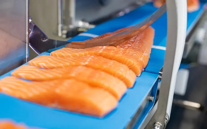 Porzionatrice automatica per salmone - macchinari industria alimentare