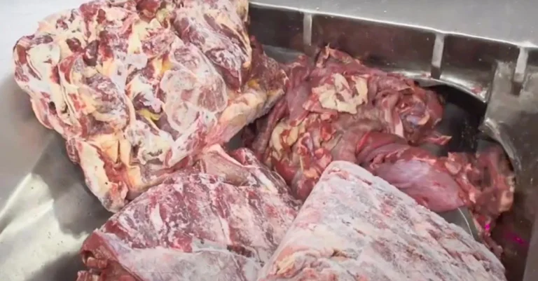 Macinare carne fresca e congelata